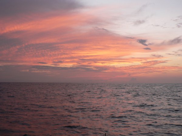 1- Premier crepuscule 